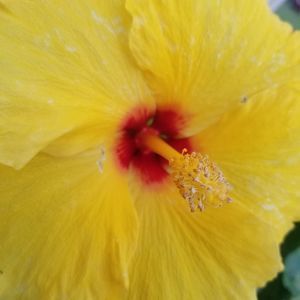 Meet your Posher, Renee